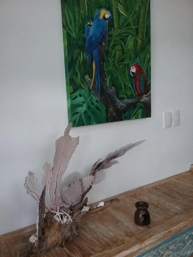Casa Rioja Playacar Bed & Breakfast Playa del Carmen