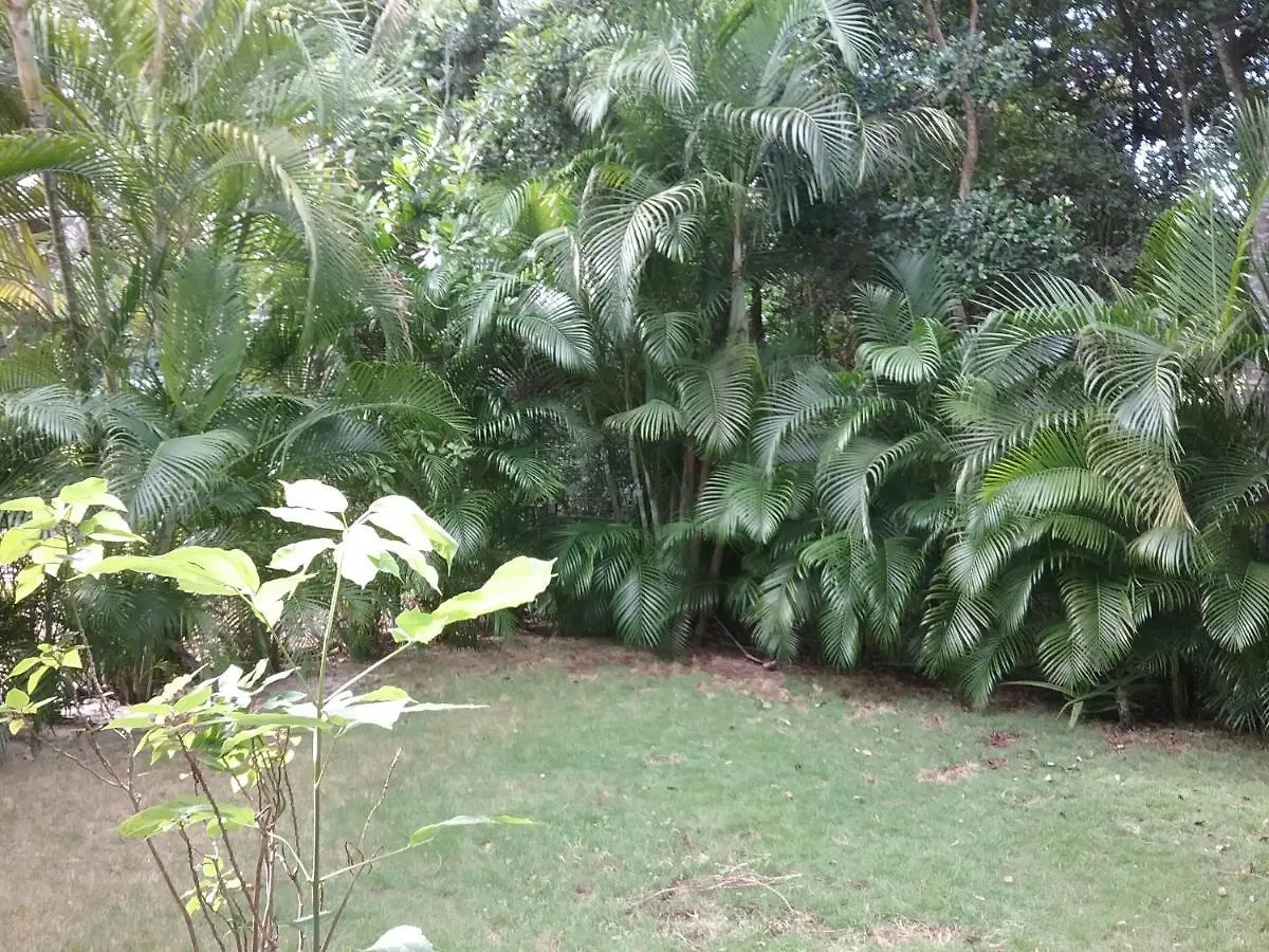 Casa Rioja Playacar Bed & Breakfast Playa del Carmen