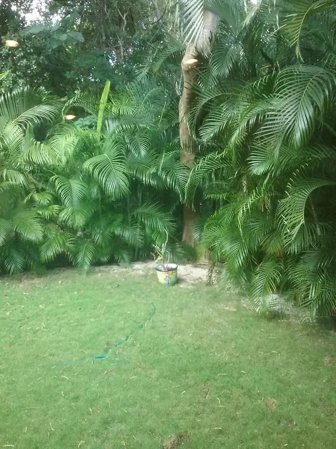 Casa Rioja Playacar Bed & Breakfast Playa del Carmen